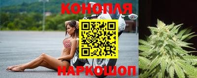 амф Будённовск